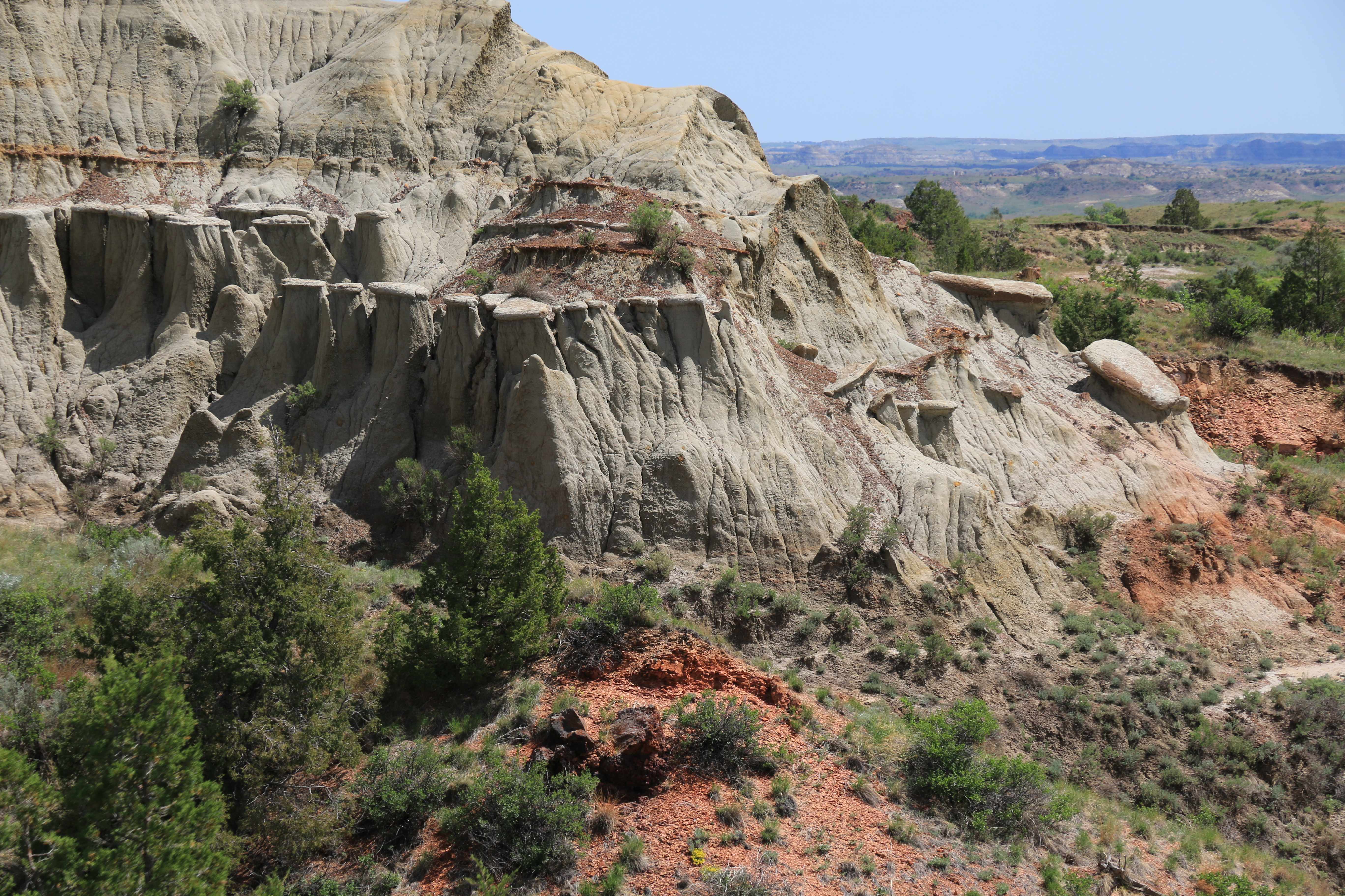 Theodore Roosevelt NP